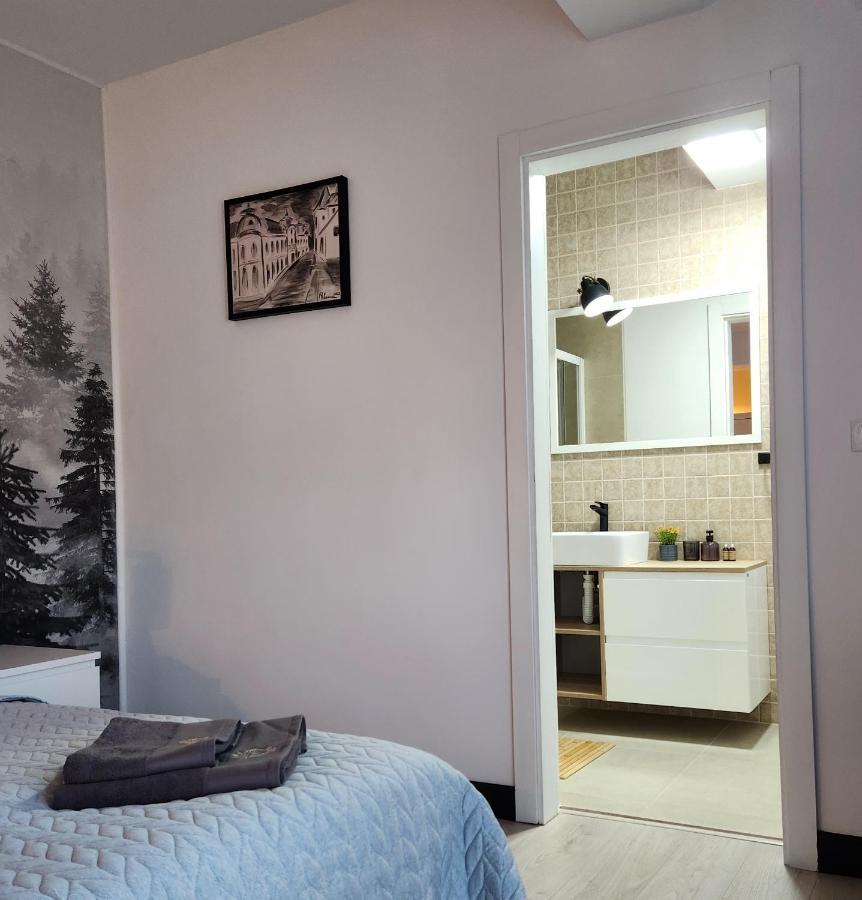 My Room Accommodation Curtea de Argeş エクステリア 写真