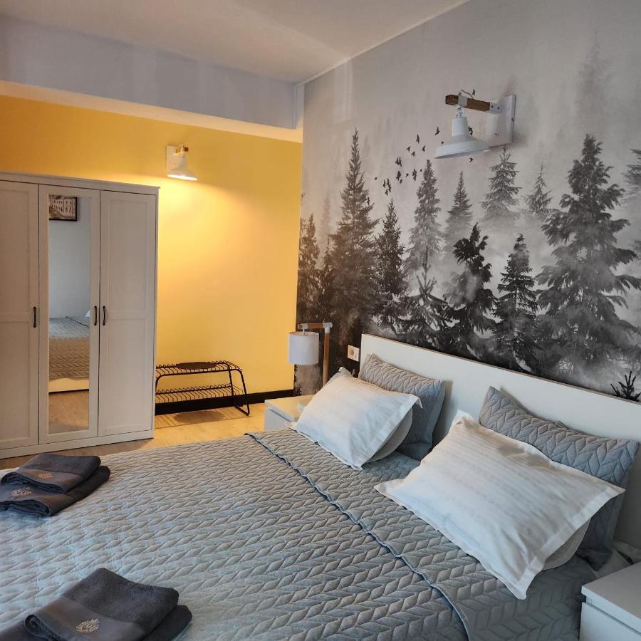 My Room Accommodation Curtea de Argeş エクステリア 写真