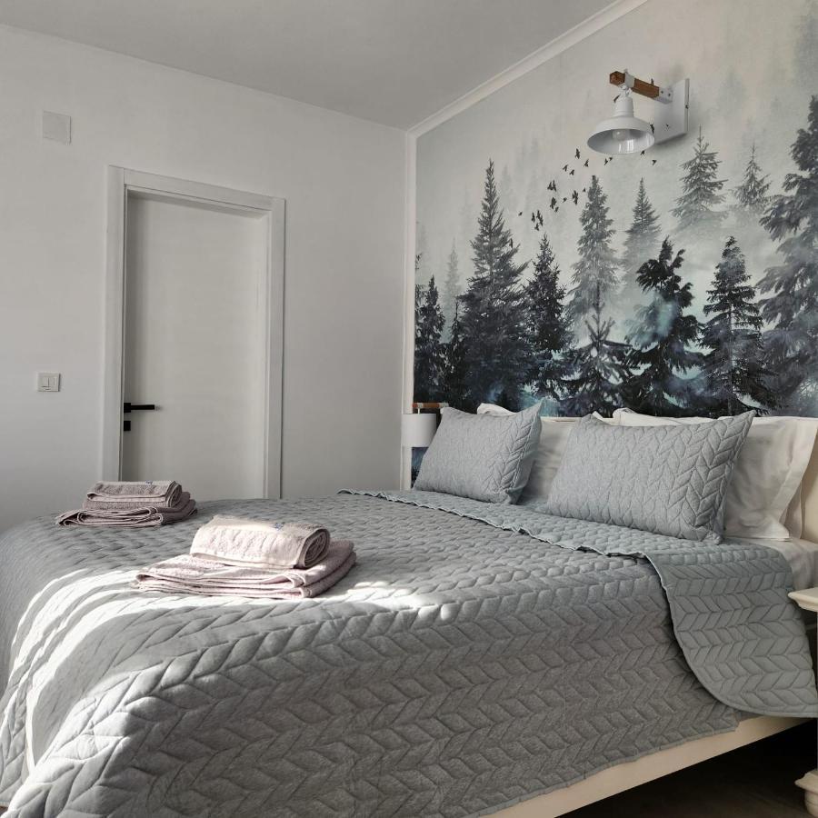 My Room Accommodation Curtea de Argeş エクステリア 写真
