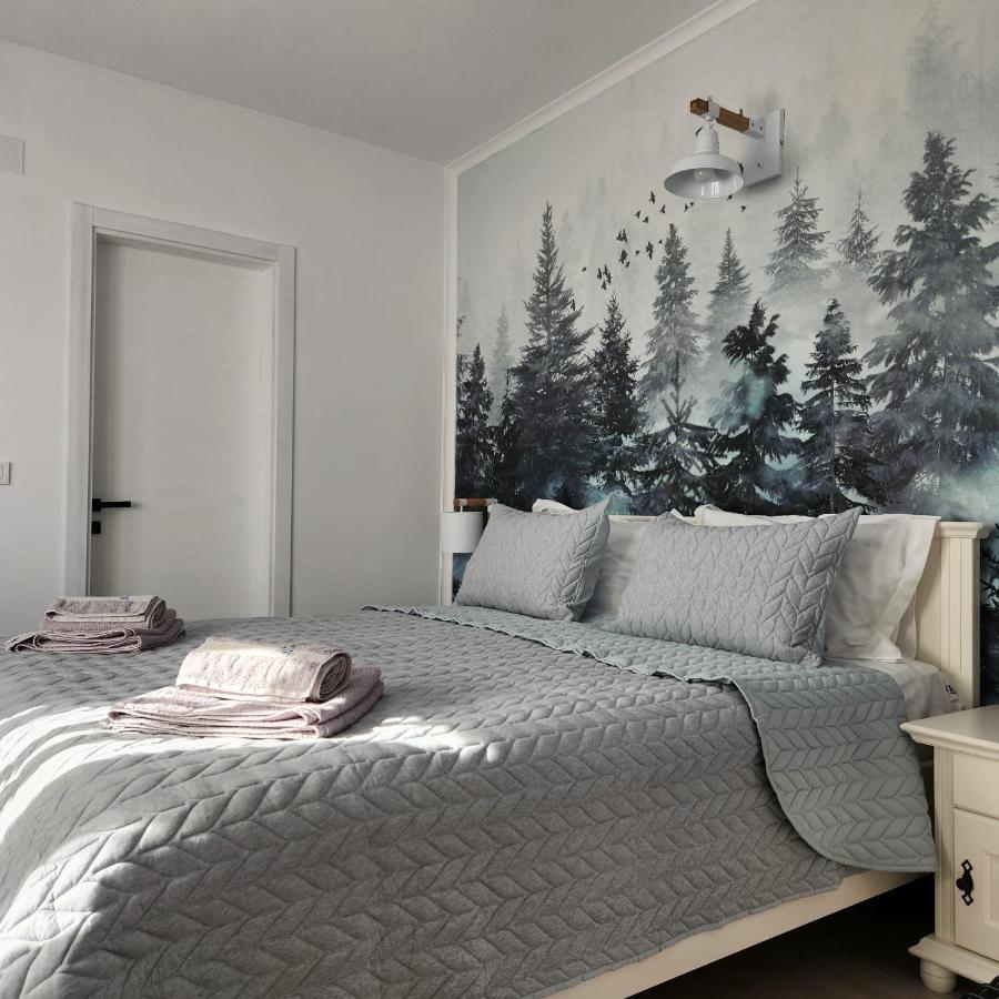My Room Accommodation Curtea de Argeş エクステリア 写真