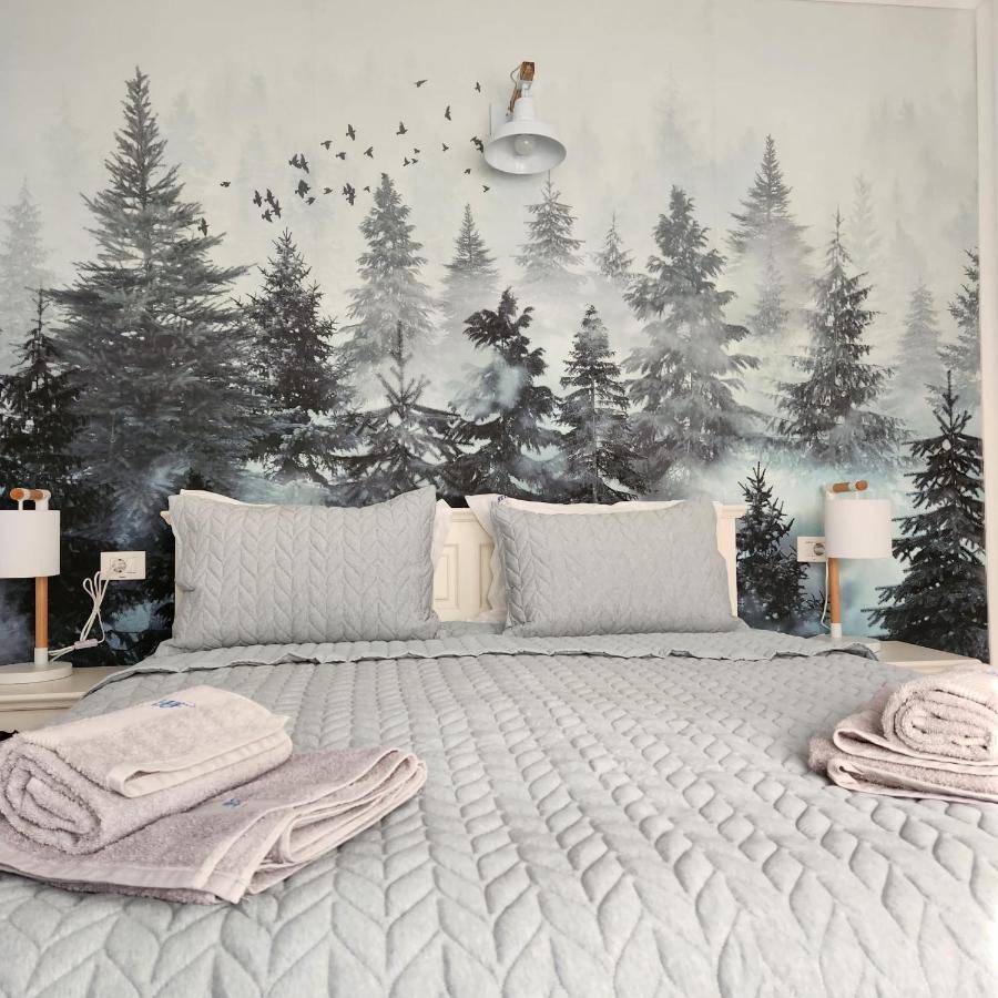 My Room Accommodation Curtea de Argeş エクステリア 写真